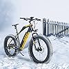 MZZK BIKE BAFAGN 750W Motor Electric Bike for Adults Fat Tire 7-Speed Powerful Mountain E-Bike with 48V Lithium Battery and Multi-Function Display, Black #5