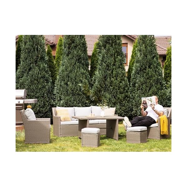 Patioco Lounge Set Fonti Polyrattan Beige/Grau