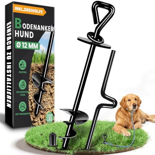 Ancla de Suelo para Perros, Estaca de Amarre para Perros Antioxidante
