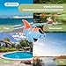 Mobiclinic®, Schwimmweste Hund, Haifischflossen-Design, Rettungsgriff, Verstellbares Geschirr, Leinenring, Hoher Auftrieb und Gute Sichtbarkeit, Sharky, Leicht, Schwimmen, Surfen, Segeln