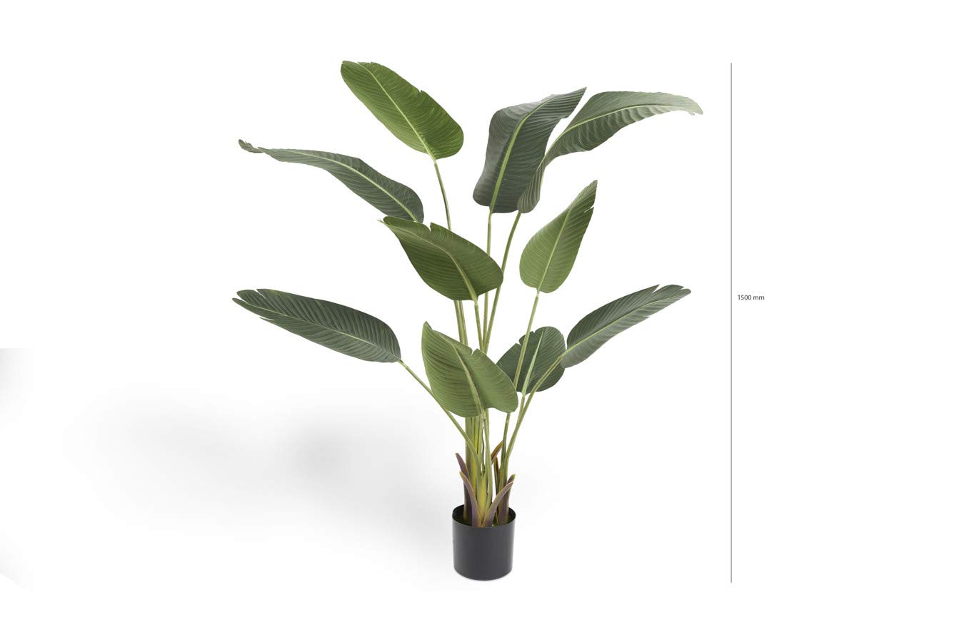 Strelitzia Kunstplant 210cm | Gratis Bezorgd