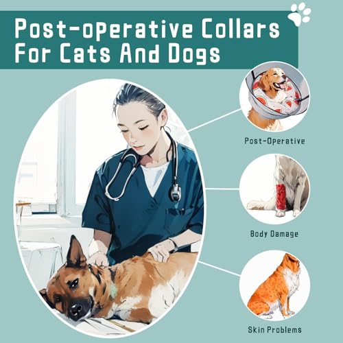 Image of Ovatt PVC inflatable pet collar for small medium and large dogs after surgery ,Washable Dog Cone Collar w /Removable Hard Cone for Dogs After Surgery (Watermelon, L)
