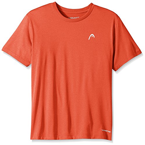 HEAD Men's Olympus Striped Hypertek Gym Training & Workout T-Shirt - Short Sleeve Activewear Top