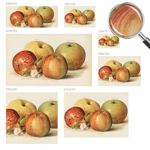 Papier Peint Fleurs de Pommier Pose Murale Sans Colle 416x254