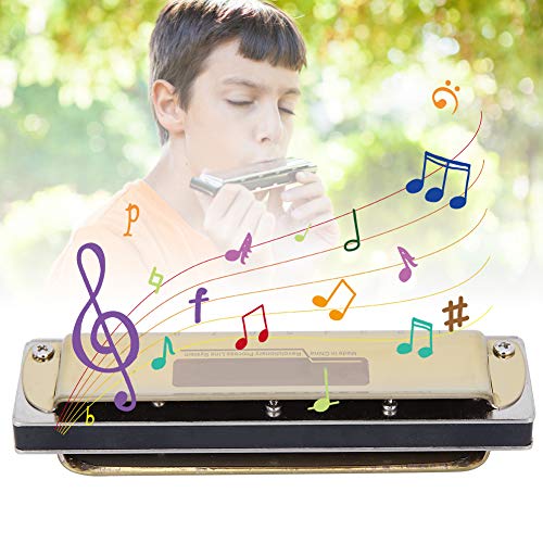 Harmonica, 10 Trous Harmonica Blues F Key Harpe Instrument de Musique à Vent Débutant Pratique Harmonica Instrument… - Les Beatles, Paul McCartney, John Lennon, RIngo Starr, George Harrison Harmonica, 10 Trous Harmonica Blues F Key Harpe Instrument de Musique à Vent Débutant Pratique Harmonica Instrument… – Image 3
