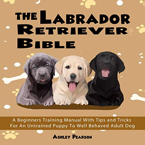Amazon.co.jp The Labrador Retriever Bible A Beginners Training Manual