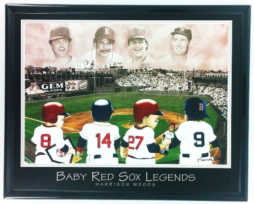 Boston Red Sox Fenway Park Framed Aerial Photo And Little Legends Framed Lithograph Set Of 2 Ll6004 #TOP2