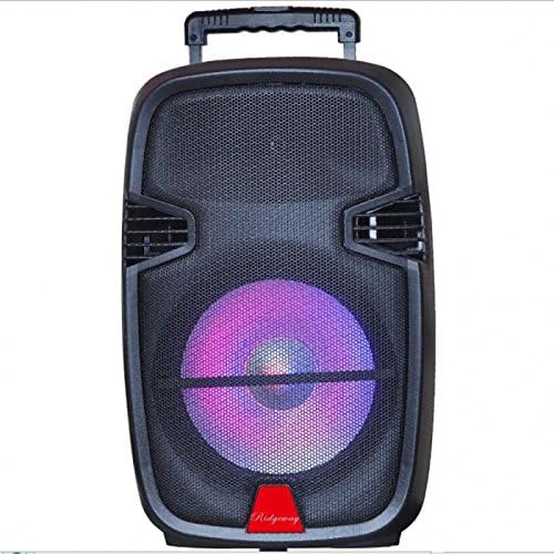 Ridgeway QS-2915BS Portable Bluetooth Trolley Speaker Powered Active Outdoor DJ Speaker Super Bass Rechargeable Battery, 15" W