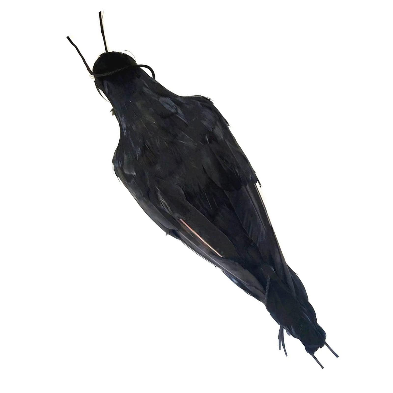 Amazon.co.jp: Simulation Crow Toy, Crow Toy, Crow, Realistic 