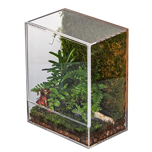 Paludarium vs Vivarium Which One is Right for You? Discover Our Top 10