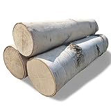 Wilson Enterprises Large Logs, Set of 3, White Birch