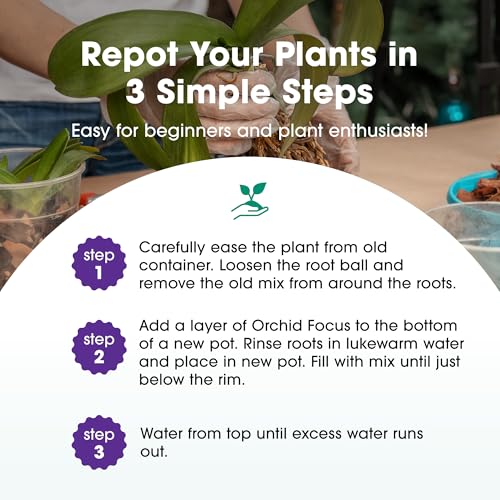 Orchid Focus Repotting Mix, 3L - Growth Technology Orchid Potting Mix for Orchid Plants - Peat-Free Orchid Potting Mix - Orchid Compost For Repotting Pants - Professional Grade Orchid Bark - Image 4