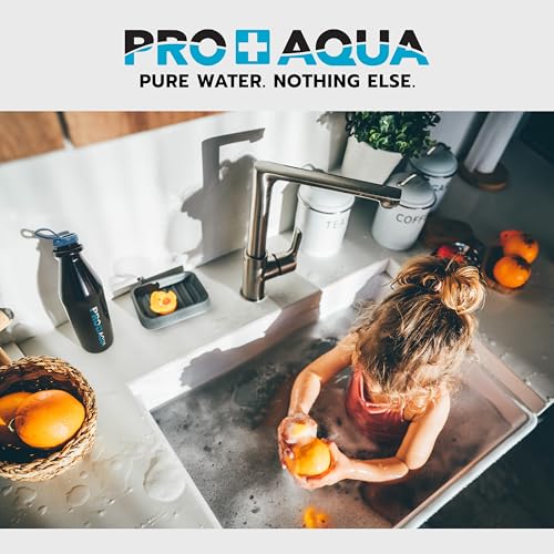 Ablandador de agua sin sal PRO+AQUA 10 GPM con filtro de carbono miniatura 6