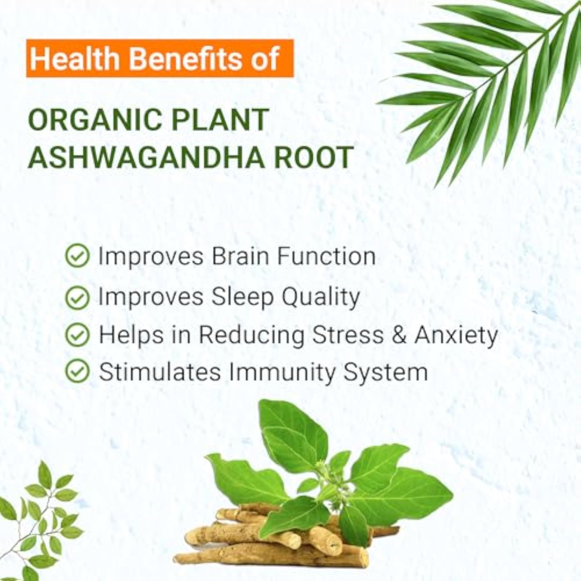Natural Herbal Ashwagandha Root for Strength & Immunity