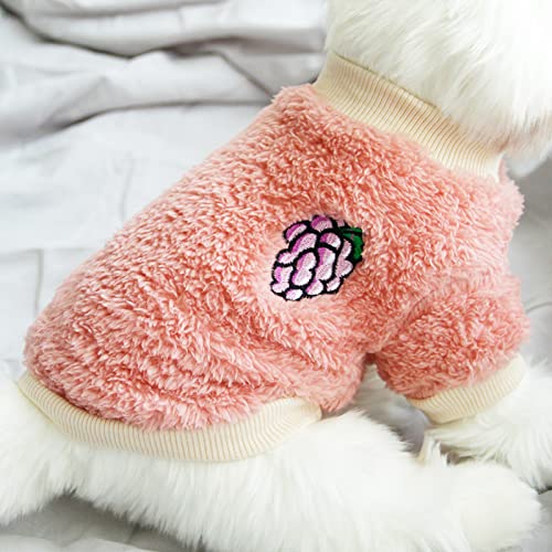 Manteau chien deux pattes vêtements d'automne et d'hiver chat