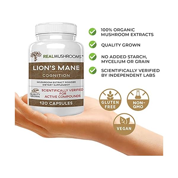Lions Mane Mushroom Cognition Capsules (120 Capsules) Lions Mane Mushroom Powder Extract Capsules | Brain Supplement, Brain Vitamins, Focus Supplement