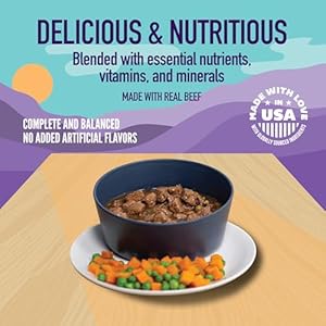 A Strong Heart Wet Dog Food, Country Stew - 22 oz Cans (Pack of 12), Made in The USA with Real Beef, Carrots & Peas A Strong Heart Wet Dog Food Country Stew 22 oz Cans Pack of 12 Made in The USA with Real Beef Carrots Peas