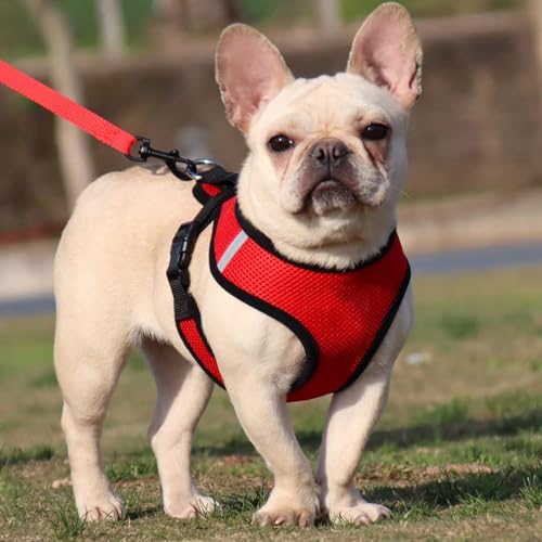 See full amazon price history chart for Urbane Home Reflective Dog Harness With Adjustable Leash|Breathable Polyester Mesh Fabric With Top carry Handle|Small Size|HAT-818|Comfortable No-Pull Grip|Quick Release Buckles|Stylish Design|Red Urbane Home Reflective Dog Harness With Adjustable Leash|Breathable Polyester Mesh Fabric With Top carry Handle|Small Size|HAT-818|Comfortable No-Pull Grip|Quick Release Buckles|Stylish Design|Red (B0CP92N9HX) Amazon Price History, Amazon Price Tracker