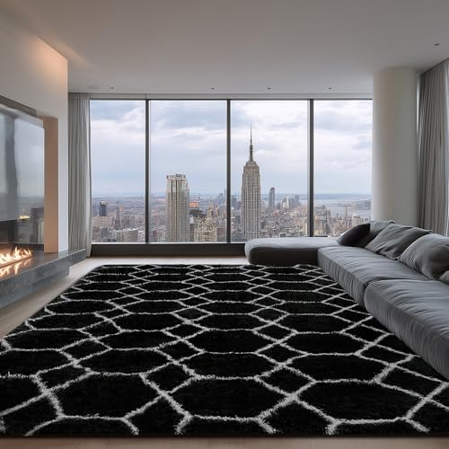 Fluffy Rug for Living Room, Soft Modern 8x10 Black and White Shag Area Rugs