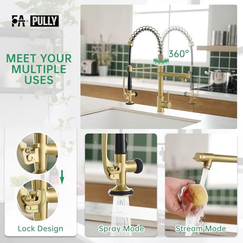 Image of Fapully Commercial Brushed Gold Kitchen Faucet with Pull Down Sprayer