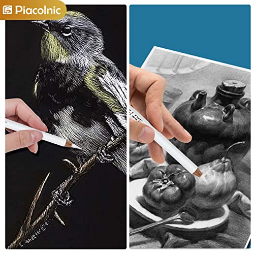 Piacolnic 12 Pezzi Carboncino Matite Bianca