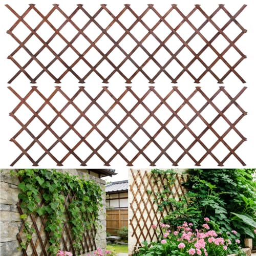 Image of 2Pcs Expandable Garden Trellis, 38 inch x 89 inch Large Wooden Lattice Fence Wall Panel Lattice Trellis for Climbing Plants Outdoor Ivy Vine Rose Clematis for Garden Patio Room Decor (2Pcs Brown)