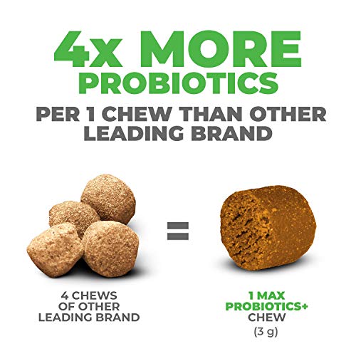 Mighty Petz MAX 5-in-1 Probiotics for Dogs – 4 Billion CFUs Probiotic Chews for Dogs and Digestive Enzymes + Prebiotic + Fiber. Gut Health, Anti Diarrhea, Allergy & Immunity Support Mighty Petz MAX 5-in-1 Probiotics for Dogs – 4 Billion CFUs Probiotic Chews for Dogs and Digestive Enzymes + Prebiotic + Fiber. Gut Health, Anti Diarrhea, Allergy & Immunity Support