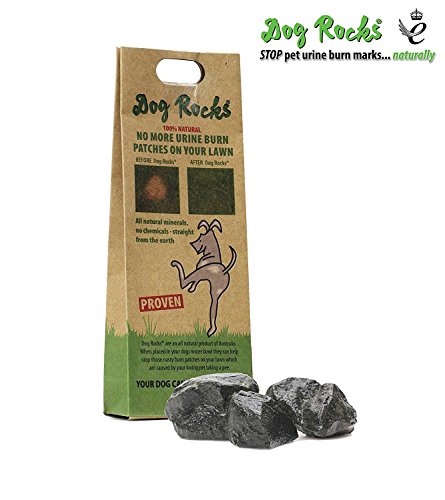 Dog Rocks - 100% Natural Grass Burn Prevention - Prevents Lawn Urine Stains