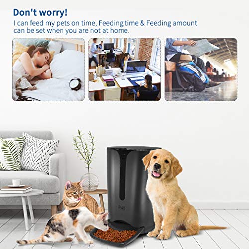 PUPPY KITTY Distributeur de Croquettes pour Chats et Chiens, 7L Distributeur Automatique de Nourriture Enregistrement Vocal Programmable 4 Repas par Jour Noir