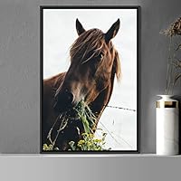 Framed Canvas Wall Art Horse Animals Dramatic Farmhouse/Country Horse Living Room Multicolor Photography - 16x24 inches
