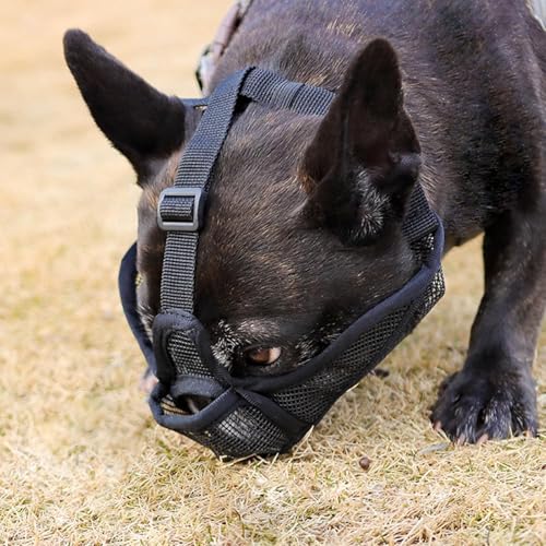 Maulkorb Hunde mit Kurzer Schnauze für Französische Bulldogge und Pitbulls, Abgeflachter Schnauze Hunde Maulkorb für Shih Tzu und Mops, Anti Beißen Kauen Bellen,ermöglichen Atmen und Trinken,Schwarz S