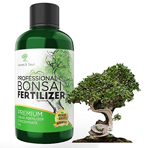 10 Best Bonsai Fertilizers Review And Buying Guide in 2023