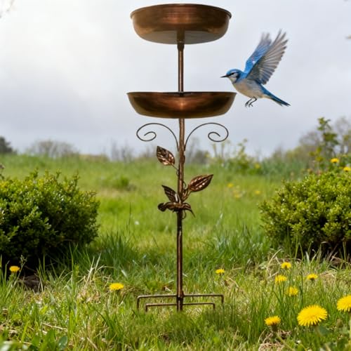 Bain d'oiseaux d'extérieur stable avec socle à 5 griffes contre le vent