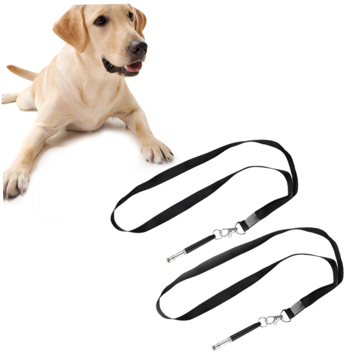 Abaodam 2pcs Dog Training Tool with Lanyard Sound for Pet Bark Control for Breeds Like Chihuahua and More