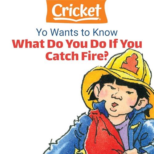Yo Wants to Know: What Do You Do If You Catch Fire? by Lea Daniel episode artwork