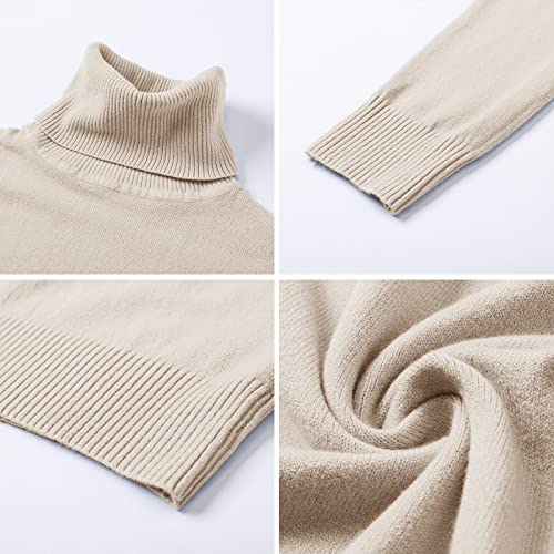 Image of DAIMIDY Turtleneck Sweaters for Women Long Sleeve Pullover Tops | Knitted Material| Soft, Warm and Breathable| High Resilience and Tensile Strength Design| Business Casual Tops| Dailywear
