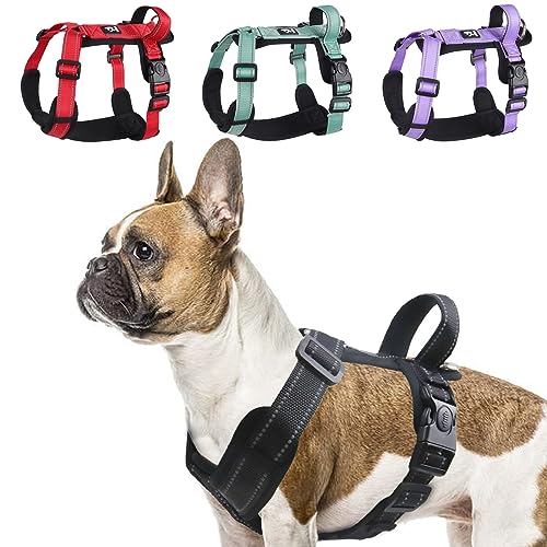 LiebeDD Pettorina Cane Taglia Media - Pettorina H Cane - Pettorina Anti Tiro per Cani Imbracatura Riflettente Bulldog Francese Pettorina per Addestramento e Easy Walk, Nero, M