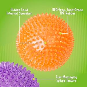 Gnawsome™ 4.5” Spiky Squeaker Ball Dog Toy - Extra Large, Cleans Teeth and Promotes Good Dental and Gum Health for Your Pet, Colors will vary, 4.5" Gnawsome™ 4.5” Spiky Squeaker Ball Dog Toy – Extra Large, Cleans Teeth and Promotes Good Dental and Gum Health for Your Pet, Colors will vary, 4.5″