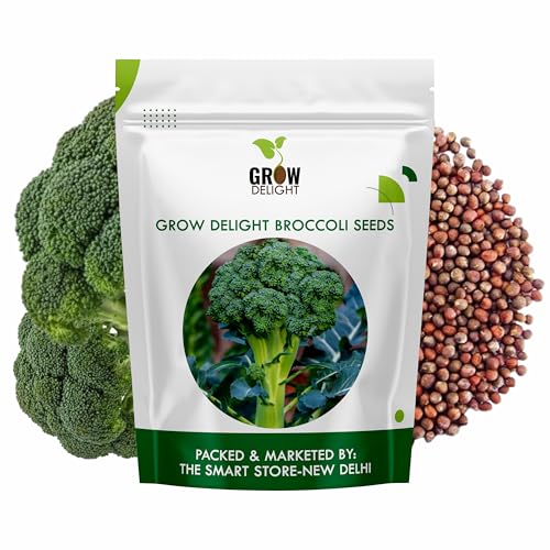Image of GROW DELIGHT Broccoli (30 Seeds) Exotic Vegetable Seeds for Home Garden, Organic & Hybrid, Perfect for Home Gardening, Planting For Pots and Patio