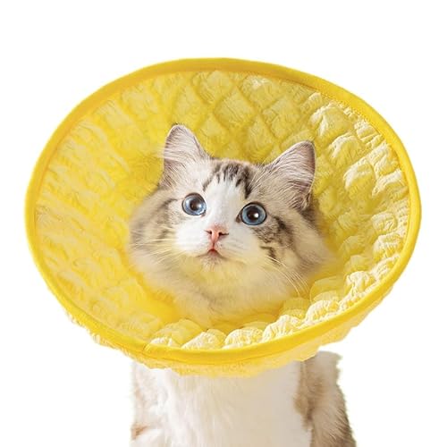 JakZeay ペットの猫と犬用エリザベスカラー、ブリティッシュショートヘアの猫用首輪、ヘッドギア、猫用殺菌首輪、舐め防止、噛みつき防止、猫用ひまわり首輪 軽量 洗える 猫 小型犬用 傷口保護 首ガード 傷舐め防止 可愛い 首ガード 通気性 手術後のケア