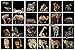 Cuteefun Puzzle 1000 Pièces Animal Sauvage Amusant Puzzle Adultes Défi Cérébral pour Enfants Adolescent