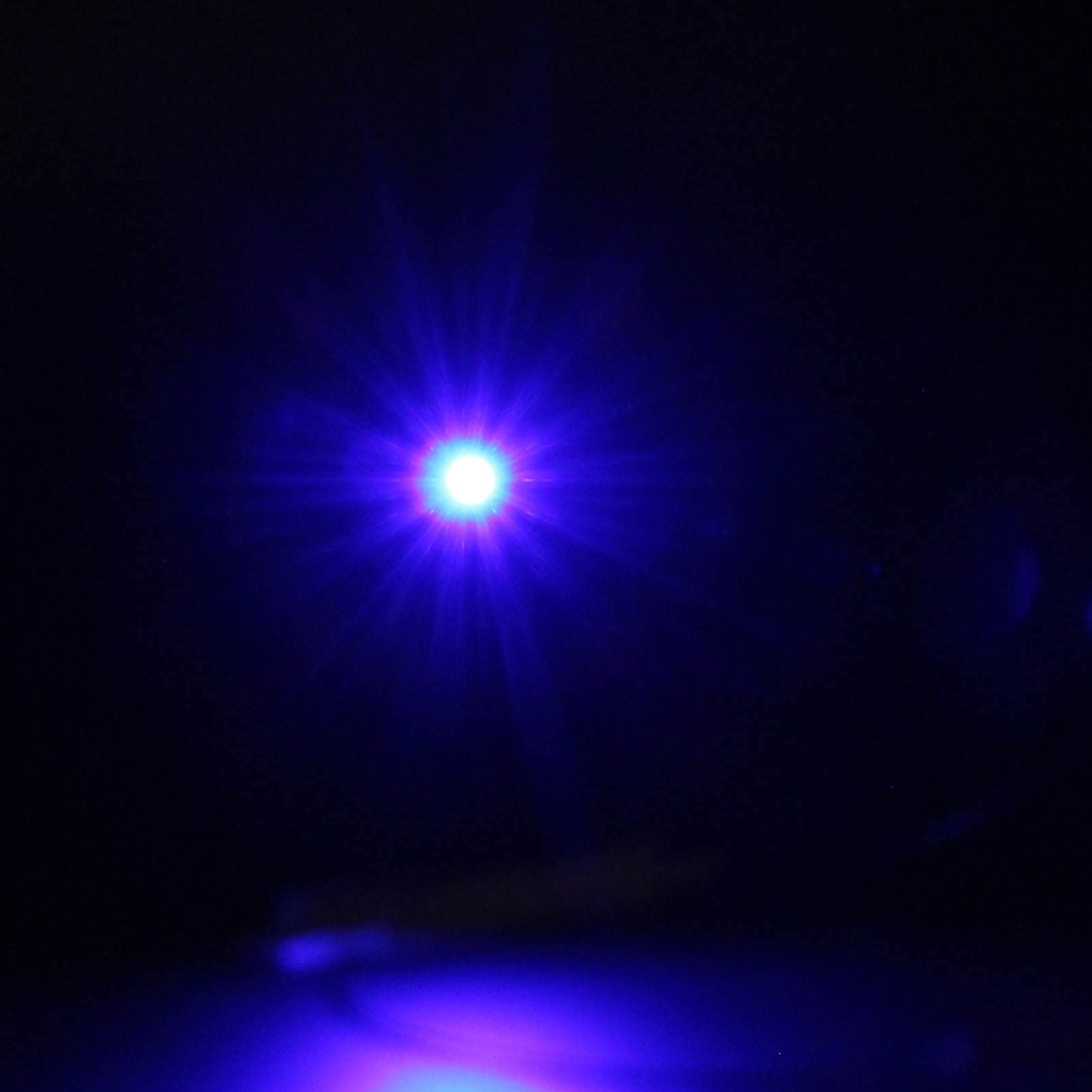 Evemodel DD00 - Lote de 20 luces precableadas (3528, 12 V, con cable de 20 cm), color azul