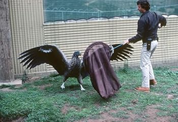 Perfect Paperback On the Wings of the Condor Book