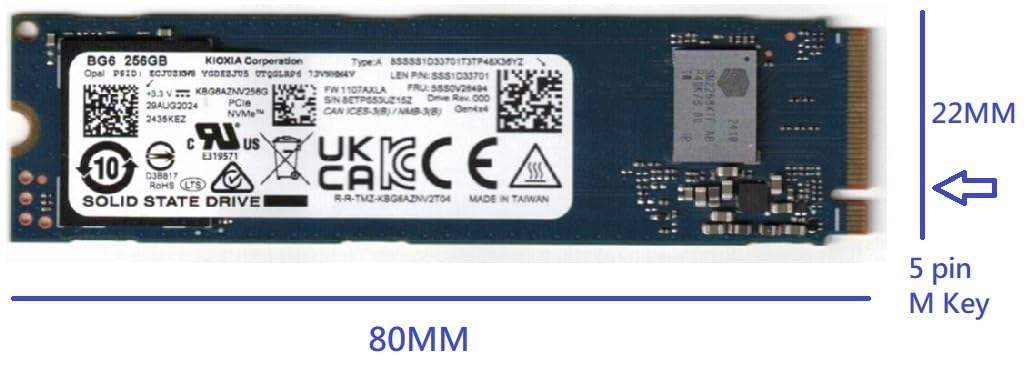 OEM NewKIOXIA - Unidad interna de estado sólido SSD BG6 PCIe Gen 4x4 M.2 PCI-e NVME, 256 GB, factor de forma 2280, llave M, compatible con PS5, laptop y computadora de escritorio Gen4