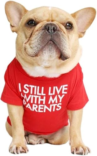 Miniatura 1 de Camisa para perro de bulldog francés para mascotas, camisetas para cachorros, camiseta de gato, transpirable, elástica, disfraces, talla M