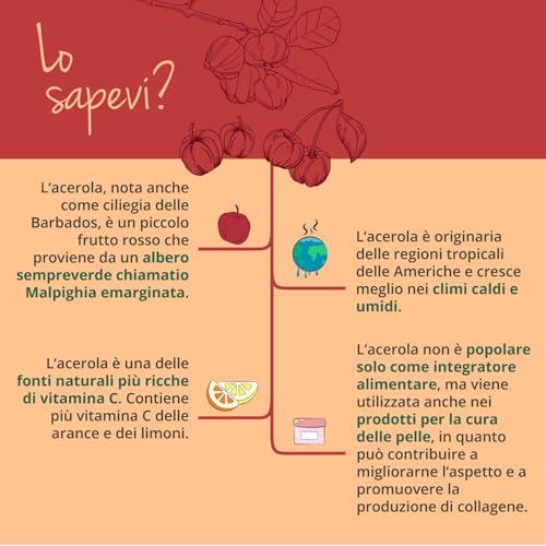 Vitamina C Naturale BIO | 1060 mg di Acerola | L’unica Biologica e Senza Additivi | Integratore per Sistema Immunitario e Antiossidante | 180 capsule | Vegan - 8