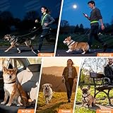 LED Freihandleine Hundeleine, Wiederaufladbar Joggingleine mit Autosicherheitsgurt für Kleine & Mittelgroße, Verstellbar Leine für Nachtsicherheit Spaziergänge (2,6 M)
