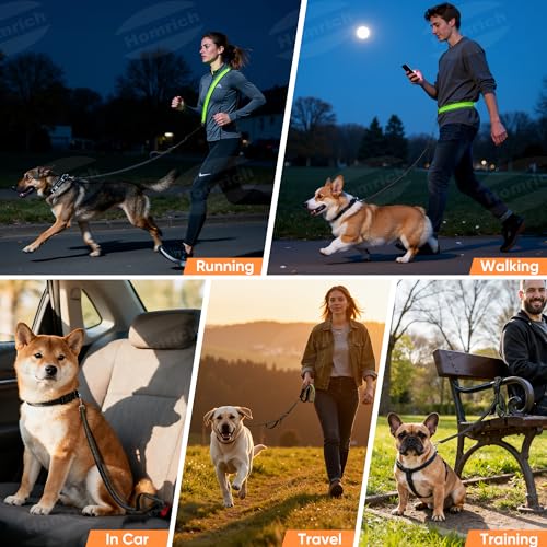 LED Freihandleine Hundeleine, Wiederaufladbar Joggingleine mit Autosicherheitsgurt für Kleine & Mittelgroße, Verstellbar Leine für Nachtsicherheit Spaziergänge (2,6 M)