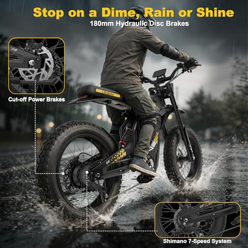 Likebike 2000W Fat Tire Ebike