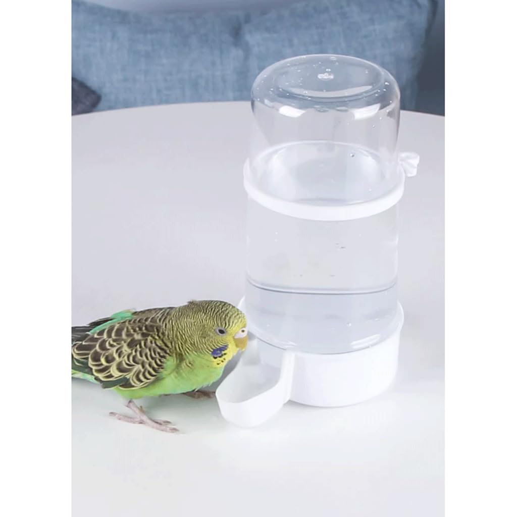 Mangiatoia per Uccelli Distributore Automatico di Acqua per Uccelli da Interno, Trasparente, Confezione da 2 mangiatoie per Uccelli, Contenitore per Alimenti per pappagalli